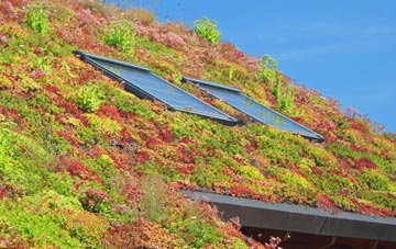 Boughrood living roof systems